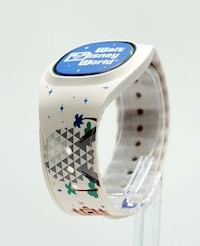 Interactive Theme-Park Wearables Image 2