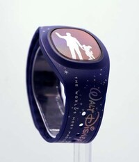 Interactive Theme-Park Wearables Image 3