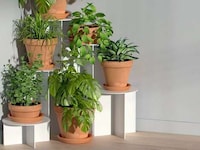 Personalization-Friendly Plant Stands Image 1