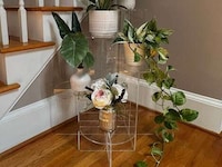 Personalization-Friendly Plant Stands Image 6