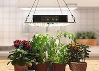 Camera-Equipped Smart Grow Lights Image 1