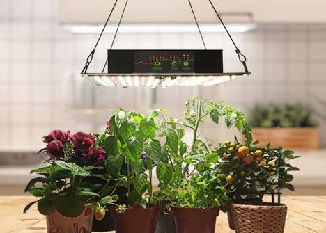 Camera-Equipped Smart Grow Lights