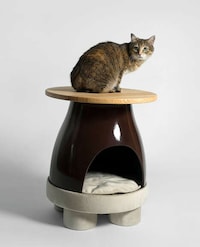 Pet-Friendly Coffee Tables Image 2
