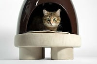 Pet-Friendly Coffee Tables Image 4