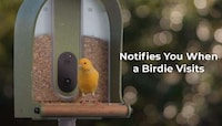 HD Camera Bird Feeders Image 1