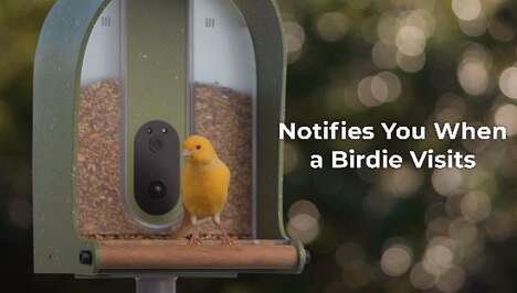 HD Camera Bird Feeders