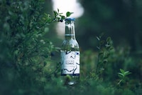 Finnish-Inspired Tonic Waters