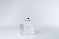 Finnish-Inspired Tonic Waters Image 2