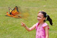 Fluttering Insect Robot Toys Image 2