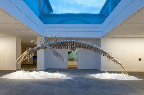 Sub-Aquatic Exhibitions