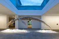 Sub-Aquatic Exhibitions Image 1