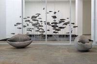 Sub-Aquatic Exhibitions Image 3