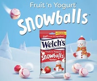 Wintry Yogurt Snacks