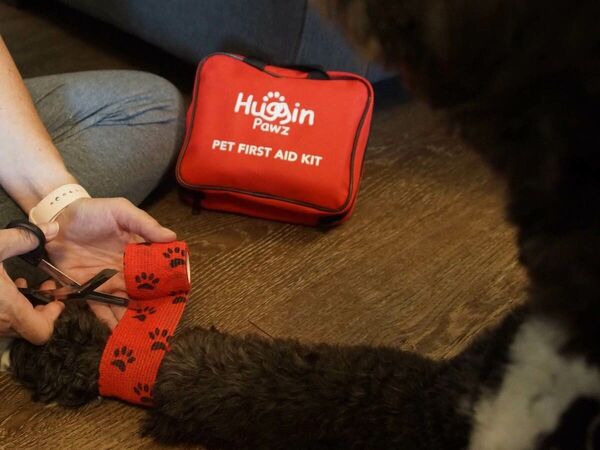 Pet-Focused First Aid Kits