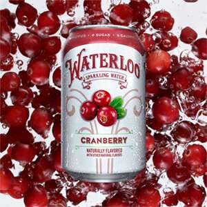 Festively Flavored Sparkling Waters