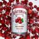 Festively Flavored Sparkling Waters Image 1