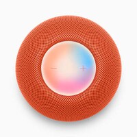 Chromatically Accented Smart Speakers Image 5