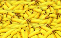 Plastic Produce Packaging Bans Image 1
