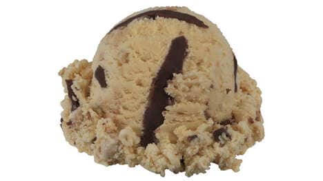 Salted Fudge Ice Creams