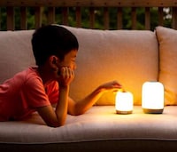 Ambient Illumination Lanterns Image 2