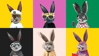 Digital Rabbit Collectibles Image 1