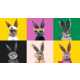 Digital Rabbit Collectibles Image 1
