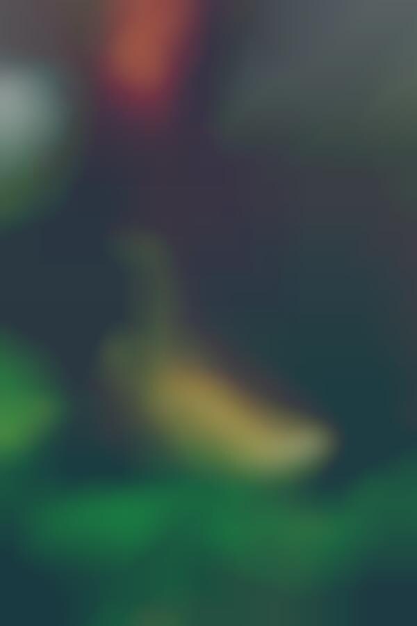 Camo-Print Casual Footwear