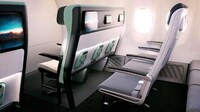 Disability-Friendly Aircraft Seats Image 1