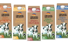 Zero-Carbon Milk Cartons