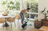 Health-Focused Dog Food Bowls Image 3