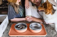 Health-Focused Dog Food Bowls Image 5