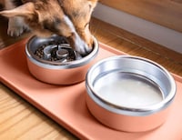 Health-Focused Dog Food Bowls Image 8
