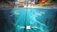 Anime-Style Travel Ads Image 7