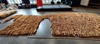 Probiotic Sustainable Structures Image 5