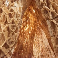 Probiotic Sustainable Structures Image 7