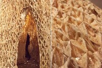 Probiotic Sustainable Structures Image 8