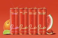 Canned Tequila Seltzer Expansions Image 1