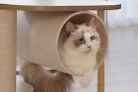 Modular Cat Trees Image 2