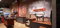 Immersive Luxury Pet Stores Image 1