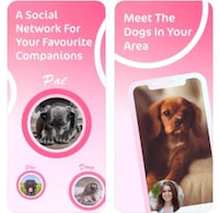 Canine-Centric Meetup Apps Image 3