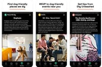 Pooch-Preferring Dating Apps