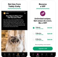 Feline-Focused Dating Apps Image 1