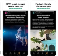 Feline-Focused Dating Apps Image 2