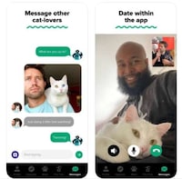 Feline-Focused Dating Apps Image 3