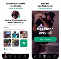 Feline-Focused Dating Apps Image 4