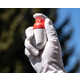 Refillable Disinfectant Spray Bottles Image 1