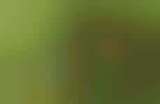 Gamer-Targeted Bar Soaps