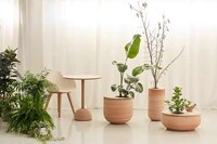 Japandi-Style Furniture Collections Image 1