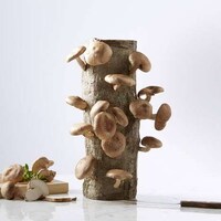 Mushroom-Growing Logs Image 1
