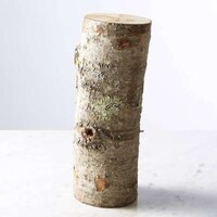 Mushroom-Growing Logs Image 4
